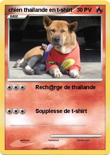 Pokemon chien thaïlande en t-shirt