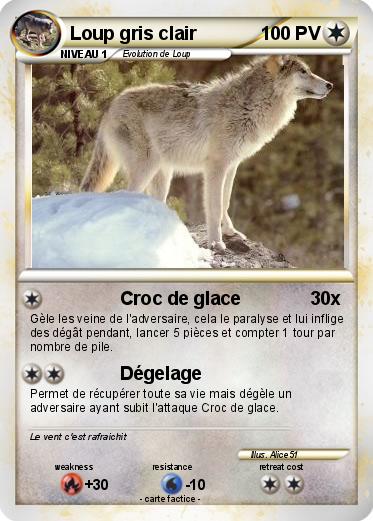 Pokemon Loup gris clair