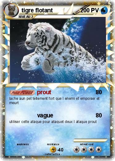 Pokemon tigre flotant
