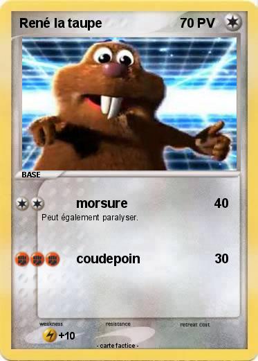 Pokemon René la taupe