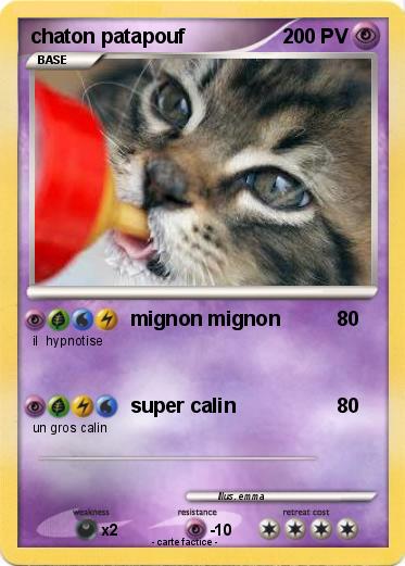 Pokemon chaton patapouf