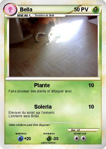Pokemon Bella