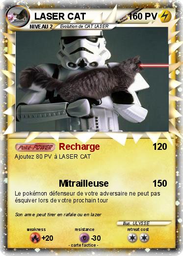 Pokemon LASER CAT