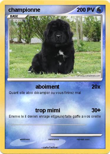 Pokemon championne