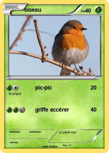 Pokemon oiseau