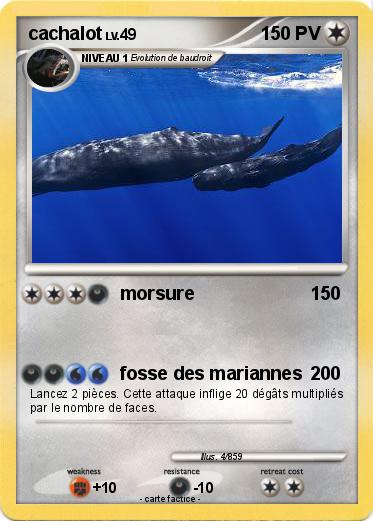 Pokemon cachalot
