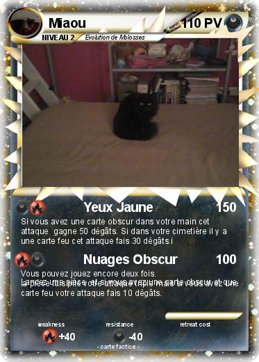 Pokemon Miaou
