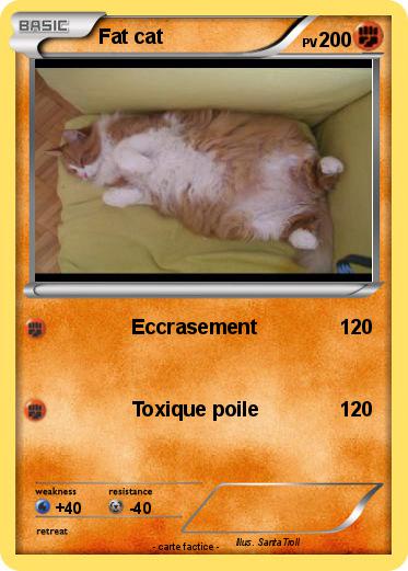 Pokemon Fat cat