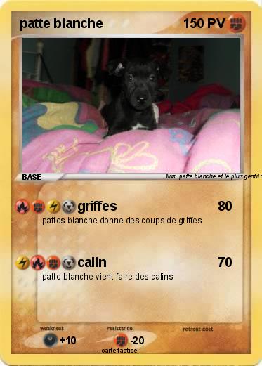 Pokemon patte blanche