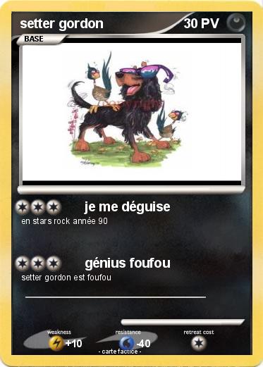 Pokemon setter gordon
