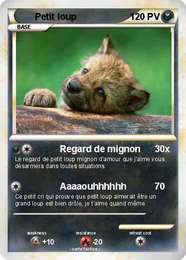 Pokemon Petit loup
