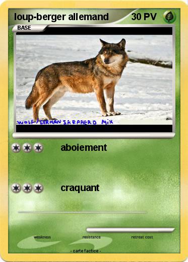 Pokemon loup-berger allemand