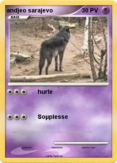 Pokemon andjeo sarajevo