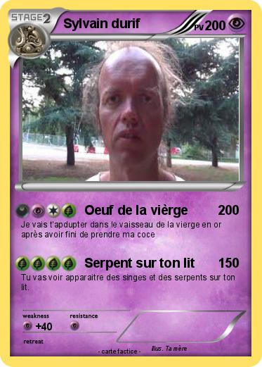 Pokemon Sylvain durif