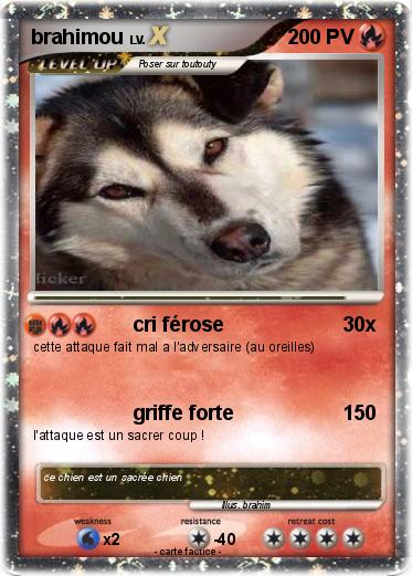 Pokemon brahimou