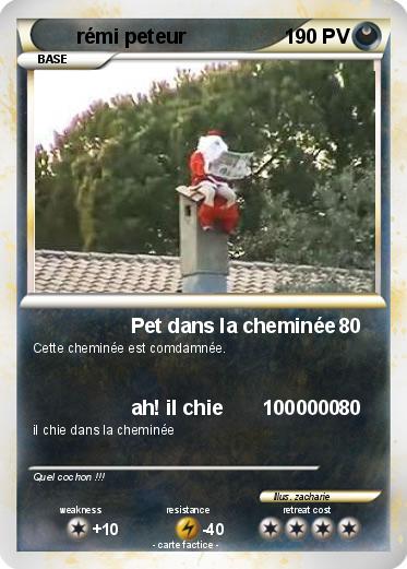 Pokemon rémi peteur