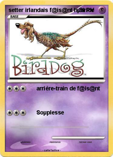 Pokemon setter irlandais f@is@nt hµbride