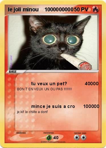 Pokemon le joli minou    1000000000 