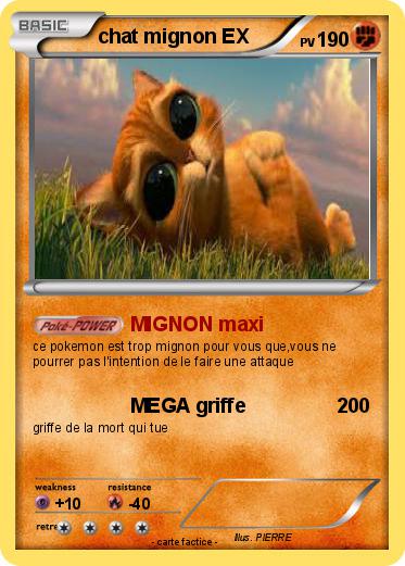 Pokemon chat mignon EX