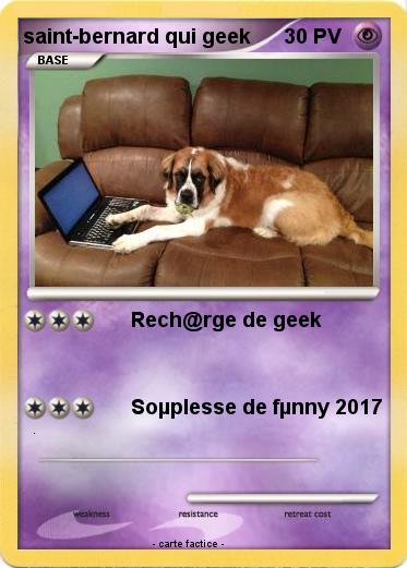 Pokemon saint-bernard qui geek