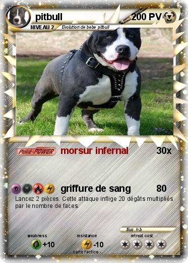 Pokemon pitbull