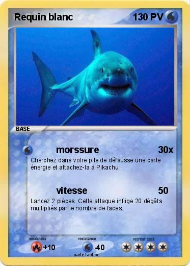Pokemon Requin blanc