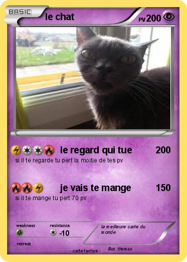 Pokemon le chat