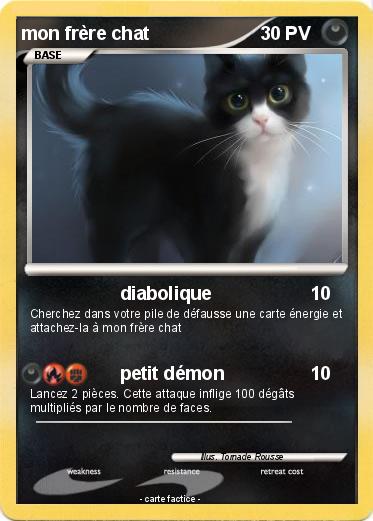 Pokemon mon frère chat