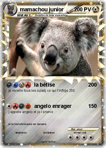 Pokemon mamachou junior