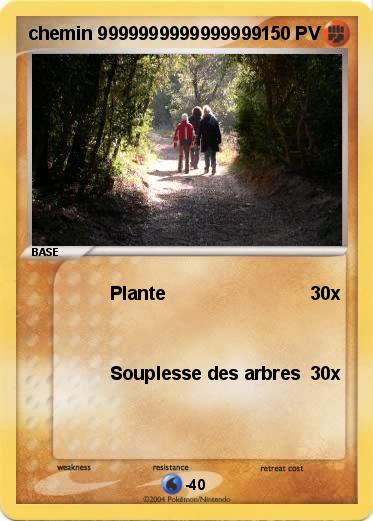 Pokemon chemin 9999999999999999