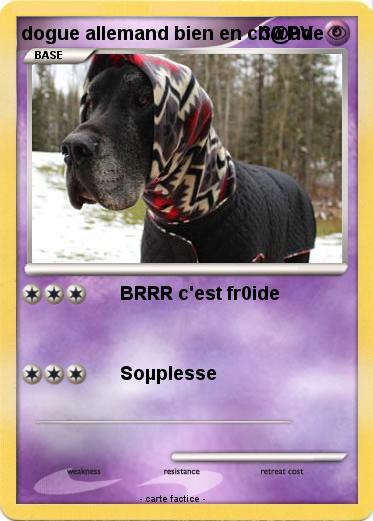 Pokemon dogue allemand bien en ch@ude