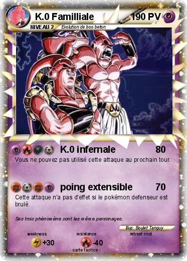 Pokemon K.0 Familliale