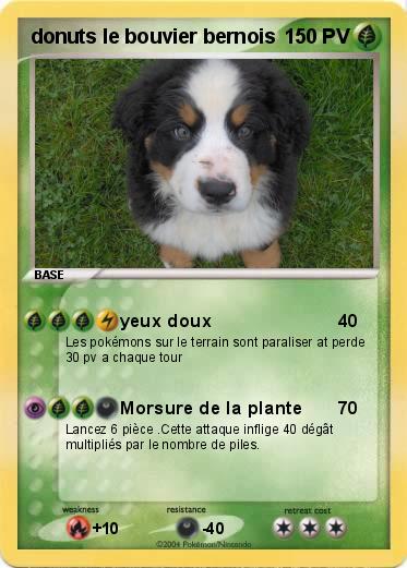 Pokemon donuts le bouvier bernois