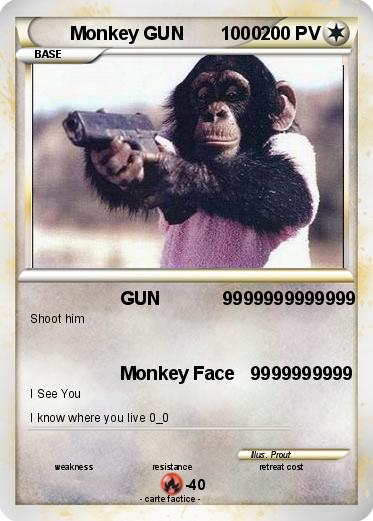 Pokemon Monkey GUN       1000