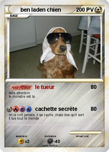 Pokemon ben laden chien