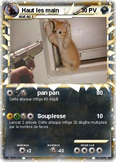 Pokemon Haut les main