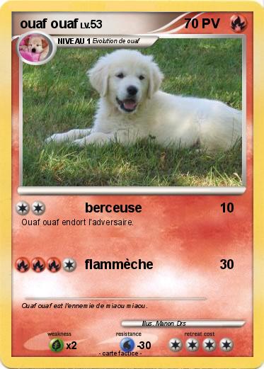 Pokemon ouaf ouaf