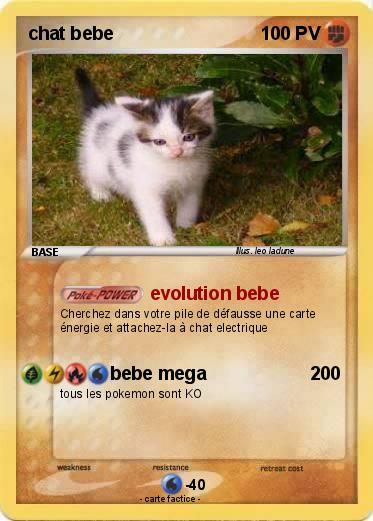 Pokemon chat bebe