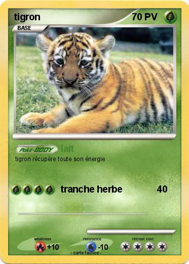 Pokemon tigron