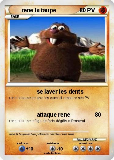 Pokemon rene la taupe