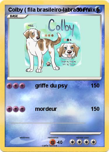 Pokemon Colby ( fila brasileiro-labrador mix )