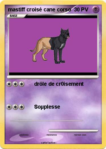 Pokemon mastiff croisé cane corso