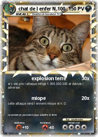 Pokemon chat de l enfer N.100