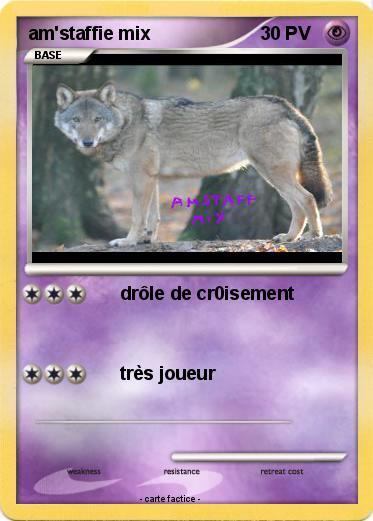 Pokemon am'staffie mix