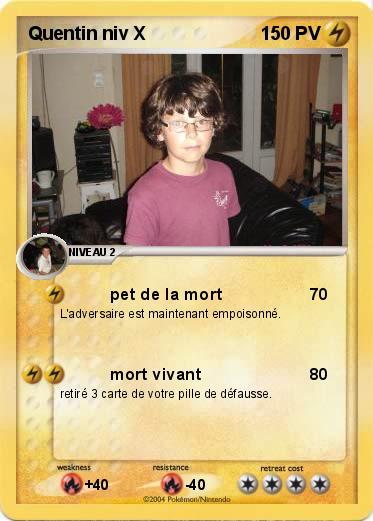 Pokemon Quentin niv X