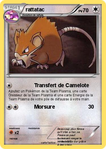 Pokemon rattatac