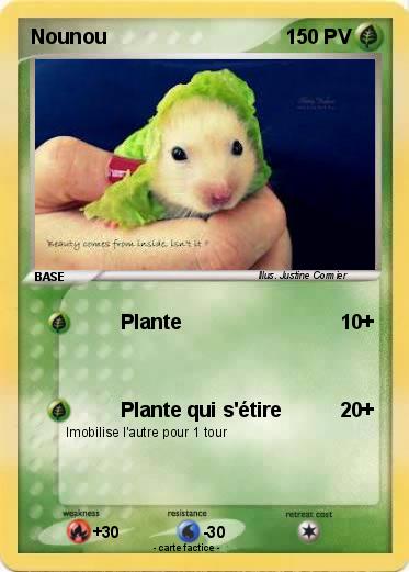 Pokemon Nounou