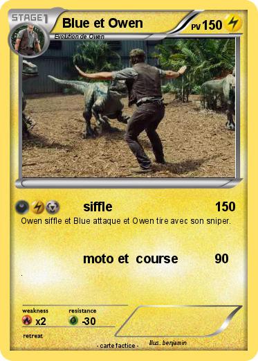 Pokemon Blue et Owen