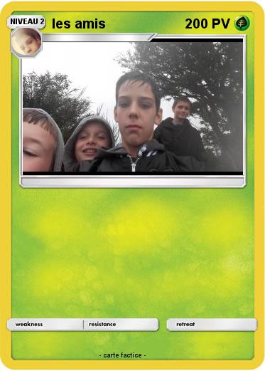 Pokemon les amis