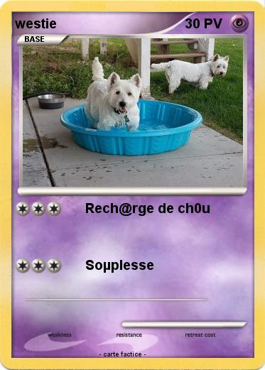 Pokemon westie